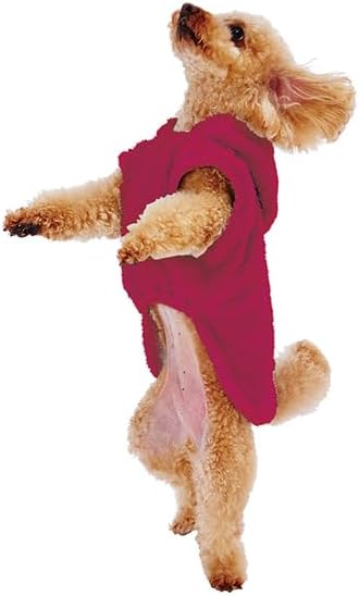 犬・猫の冬の防寒ウェア・ベッド おすすめ5選のイメージ