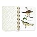 Brass Monkey Salty Birds Sticker Book | Great For Migrating Sass (A Brass Monkey Sticker Book)