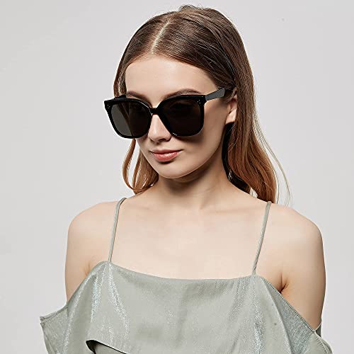 Sunglasses Celeste 2201 Modern Style Polarized Anti-Glare Unisex Outdoor Sports Driving Casual Wear3