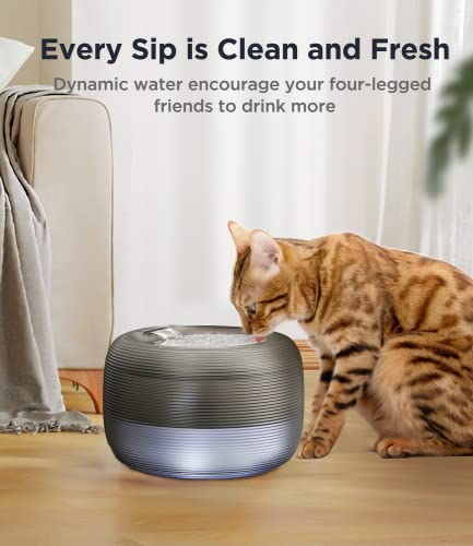 6 PCS Filtri di Ricambio Fontanella per Gatti