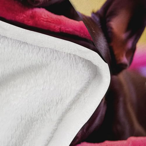 Flanell Kuscheldecke 130x170 cm Französische Bulldogge Decke Flauschig Hund Wohndecken Fleecedecken Weiche Warme Decken für Sofa, Couch und Bett A-0275