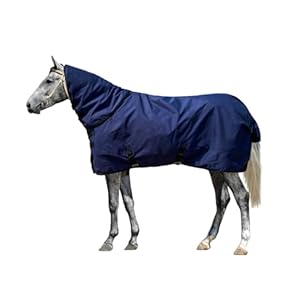 Horse Blankets for Winter Waterproof 1200D Heavy Weight (400g Fill) Horse Turnout Blanket with Neck Cover Leg Straps (US 72in / EU 135cm)