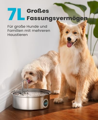 oneisall 7L Trinkbrunnen für Hunde, Edelstahl Hundebrunnen mit großem Sichtfenster, Wasserspender mit LED-Licht, Ultraleiser Pumpe mit Überlastschutz, 5-Schicht Filtration