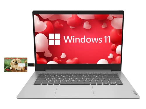 Lenovo Ideapad 1 Laptop, 14" Hd Anti-Glare Display, Intel Quad-Core Pentium Silver N5030 (Beat I3-1005G1), Intel Uhd Graphics, 4Gb Ram, 256Gb Pcie Ssd, 1 Year Microsoft 365, Windows 11 + Pcm Usb Card #TOP19