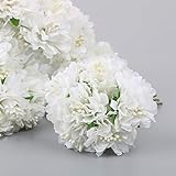 Hinweise: Gefälschte Blumendeko haben vielleicht Chargendifferenz in Größe und Farbe, bitte um Verständnis. Wenn es einen Geruch gibt, legen Sie künstliche Blumen in einem belüfteten Ort für eine Weile.