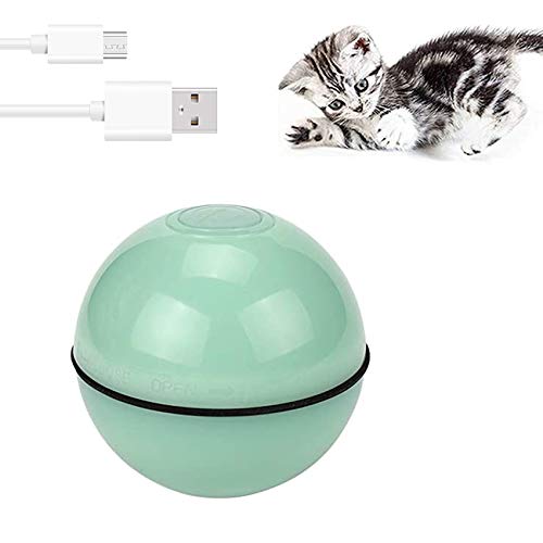 Le Chat Et L Odeur De La Javel Arbre A Chat