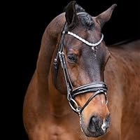 Imperial Riding IRH Olympia Trense ohne Zügel, anatomisches Genickstück, Kalbslederpolsterung, Stirn- & Nasenriemen mit Strass, hochwertiges Büffelleder, Edelstahlbeschläge, Schwarz-Silber, Pony