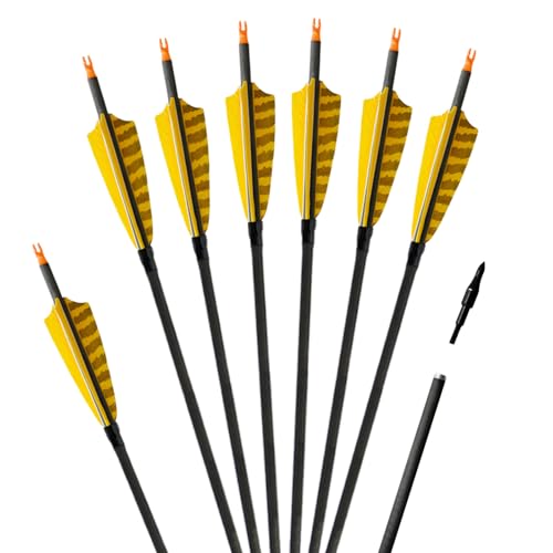 ARCTIRA 31 inch Archery Targeting Feathers Arrows for Recurve Bow Carbon Arrows with Removable Arrowhead for Adult Beginner Target Practice Outdoor Training 6 PCS (Yellow Feathers)