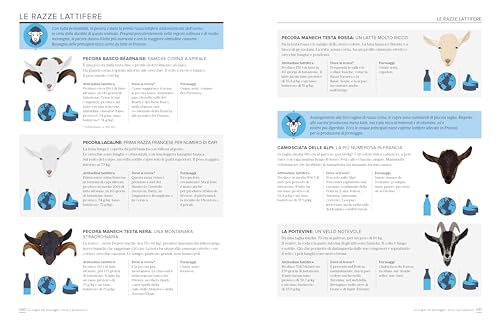 Atlante Dei Formaggi. Origini, Territori, Abbinamenti - 4