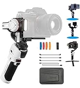 Amazon.co.jp: 【Accsoon正規代理】ACCSOON CineView HE ワイヤレス