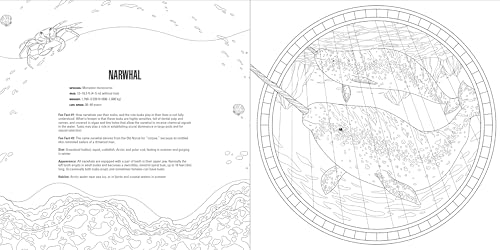 Animals: A Smithsonian Coloring Book Box Set - Image 12