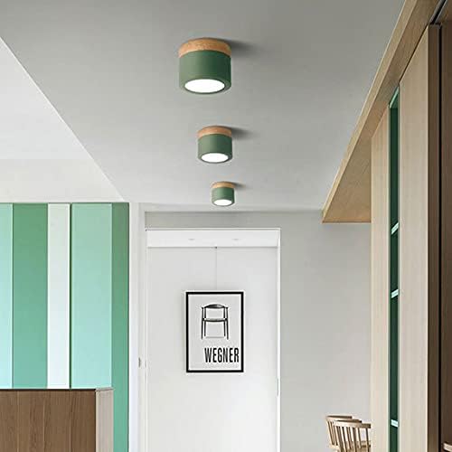 LITFAD LED Ceiling Mount Light Nordic Stylish Acrylic Down Light Modern LED Ceiling Lamp for Hallway Dining Room Bedroom Corridor, Green Warm Light
