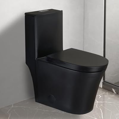 WinZo WZ5022B Elongated One Piece Toilet Dual Flush with 16" Standard Seat Height For Modern Bathroom Matte Black