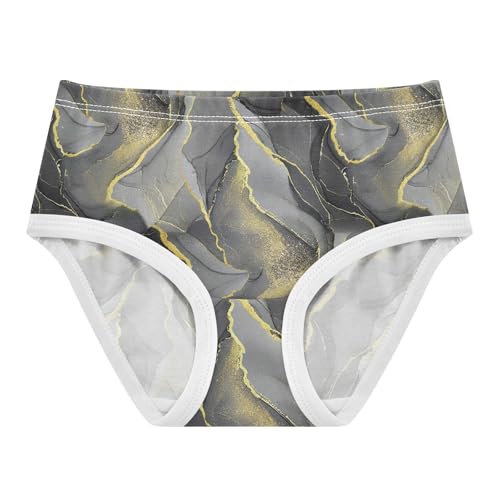 Joisal Chic Gray Gold Toddler Girls Underwear 2t Cotton Panties for Girl Artistic Underpants Briefs