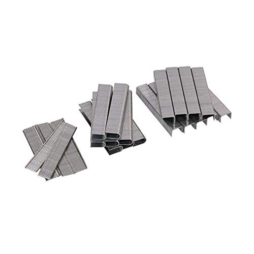 1250 Pc Assorted Staples and Brad Nails - 8mm 12mm 10mm
