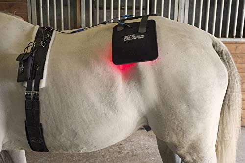 Gospel's Medium Light Therapy Pad With Case #TOP6