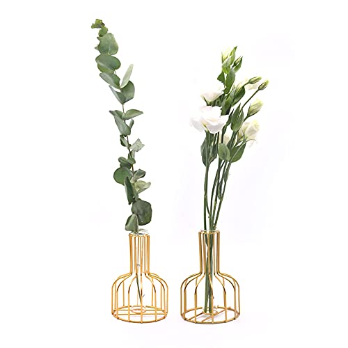 Flower Vases With Iron Art Frame, Metal Flower Vase, Test Tube Vase, Iron Art Flower Vase, Clear Vase Decorative For Living Room Wedding Holiday Party #TOP5