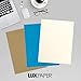 LUXPaper 8.5