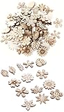 Haiabei 300 Pcs Mixed Flower Leaf Pattern Wooden Scrapbooking DIY Handmade Crafts Children DIY Graffiti Home Decor,Style Random