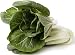 1000 Pak Choi Seeds - Bok Choy, Pok Choi, Chinese Cabbage