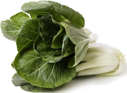 1000 Pak Choi Seeds for Planting - 3+ Grams - White Stem - Heirloom Non-GMO Vegetable Seeds for Planting - AKA Bok Choy Pok Choi Chinese Cabbage