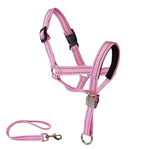 Dog Head Collar with Reflective Strap Adjustable Prevent Pulling Dog Head Halter with Safety Clip Soft Fabric Padded Dog Head Harness for Training Guide(L, Pink)