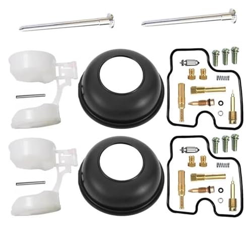 Kit réparation carburateur moto VT125 pour réparer les fuites d'essence de la Shadow