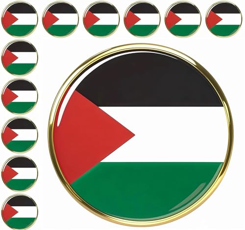 6/12/25/50/100 pieces round Palestine Flag lapel pin Palestinian Pins badge bulk (12)