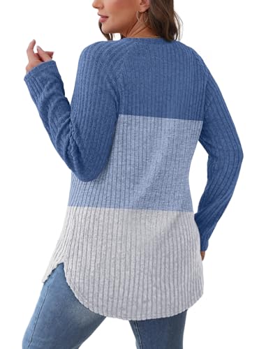 Image of Saloogoe Long Sleeve Shirts for Women 2025 Fall Clothes Tunic Tops Loose Fit Dressy Crewneck Pullover Sweaters Curved Hem