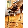 Elevated Dog Feeder For Medium Dogs