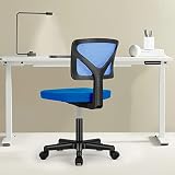 Sweetcrispy Low-Back Mesh Chair