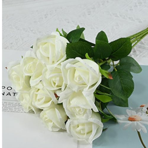  o [Yԑ 10{Zbg KN ԑ o^Cf[ ͂Ȃ }`bN ԃu[P ԏ A[gt[ ʐ^ ̓  a j v[g Q ItBX  (zCg)