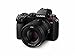 Panasonic LUMIX S Series Camera Lens, 50mm F1.8 L-Mount Interchangeable Lens for Mirrorless Full Frame Digital Cameras, S-S50 Black