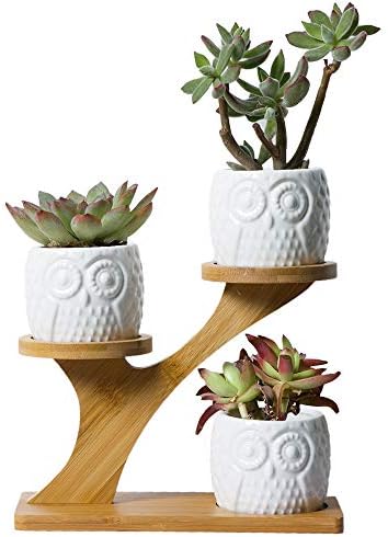 YXMYH 3pcs Owl Succulent Pots with 3 Tier Bamboo Saucers Stand Holder -Home Office Desk Garden Mini Cactus Pot Indoor Decoration- White Modern Decorative Ceramic Flower Planter Plant Pot with Drainage