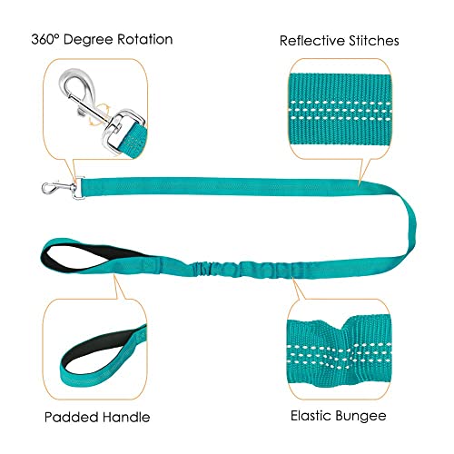 Slowton No Pull Small Dog Harness And Leash Set, Puppy Soft Vest Harness Neck & Chest Adjustable, Reflective Lightweight Harness & Anti-Twist Pet Lead Combo For Small Medium Dogs(Bl-Front Clip,Xxs) #TOP7