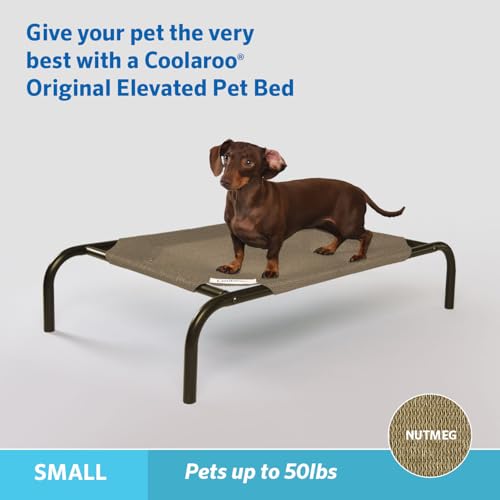 Image of Coolaroo The Original Cooling Elevated Pet Bed, Small, Nutmeg
