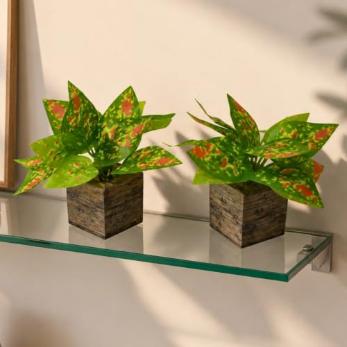 Image of DecoreBugs Artificial Real Touch Flower Plant with Pot (Pack of 2), 16 cm Height, Decorative Faux Floral Plant for Home, Office, Living Room, Bedroom, Table & Shelf Decor