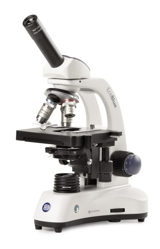 Microscopio monoculare Euromex EcoBlue EB-1051 – Ingrandimento 40–400x