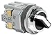IDEC ASD3320N Switch, SELECTOR, DPST-2NO, 10A, 250V