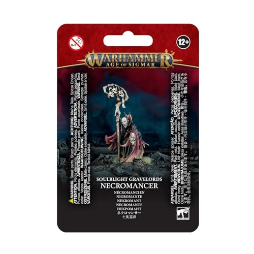 Soulblight Gravelords: Necromancer miniatura 1