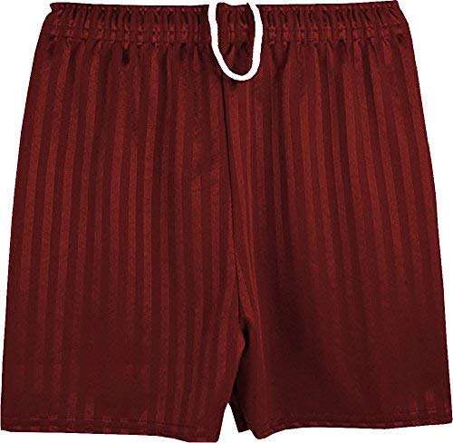 Shadow Stripe Pe Shorts Maroon 15-16 Years