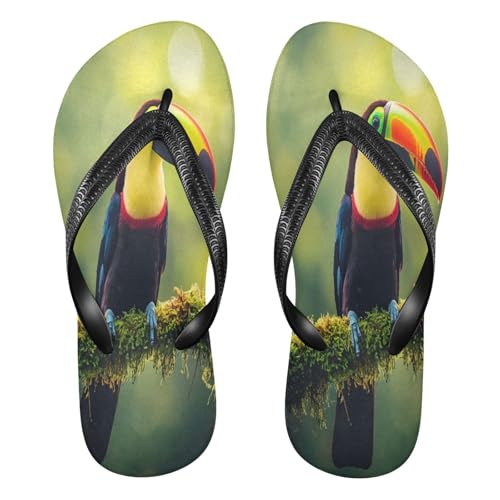 STAYTOP Pretty Toucan Flip Flops Sandals of Men's & Women's,Sandals Beach Slippers Shower Slides