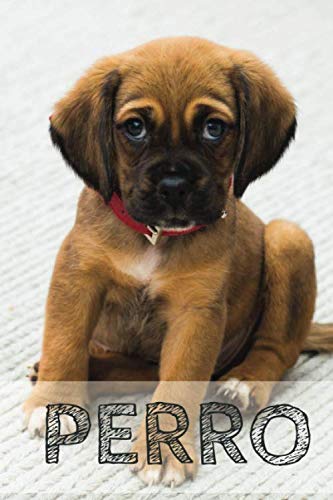 Cuaderno de dibujo Perro 100 páginas 6x9, un cuaderno simple para niños