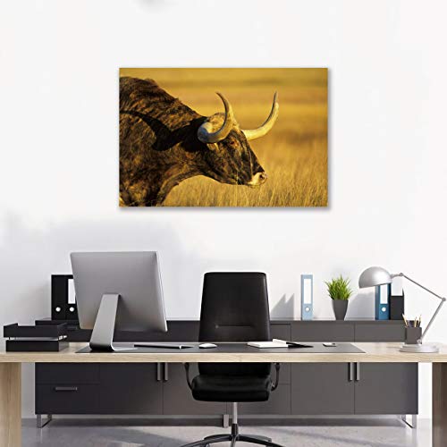 Affiche Vache des Highlands Toile pour Habiller un Mur Vide