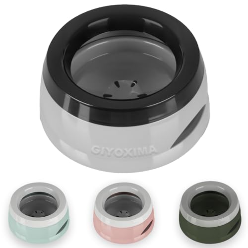 25oz Spill-Proof Dog Water Bowl – Slow Drink, No-Splash Pet Feeder