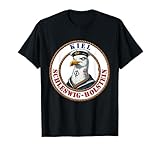 Kiel Möwe Meer Lustig Norden Digga Norddeutschland