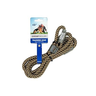 Slip Leash Training Caesar Millan Leash Cesar Millan Slip Lead