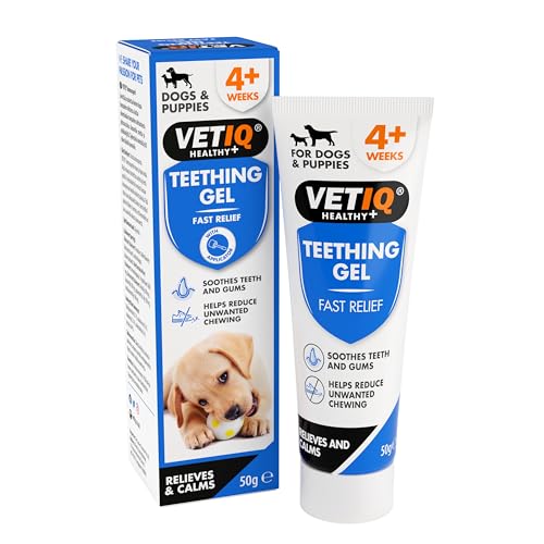 VETIQ Fast Pain Relief Teething Gel With Applicator Relieves Irritation & Helps Reduce Unwanted Chewing For Dogs & Puppies 4+ Week 50 g (Pack of 1)