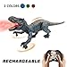 Moskiddo Remote Control Dinosaur Toys for Kids 3-5, 5-7, 8-12, 10-12, Electronic RC T Rex Dino Robot Toy for Boys, Top Christmas & Birthday Gifts for 6 7 8 9 10 11 & 12 Year Old Boys (Color: Blue)