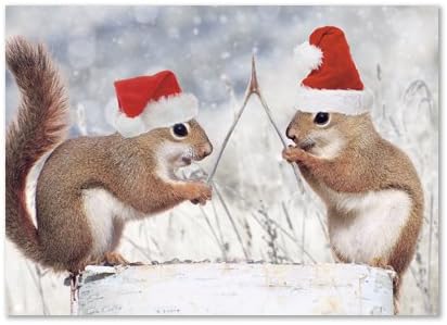 Northern Exposure Pair of Squirrels in Santa Hats with a Wishbone Making Wishes Box 12 Holiday Christmas Cards